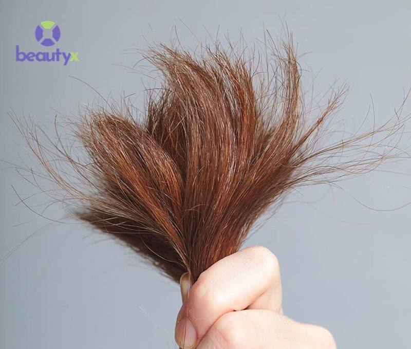 tóc yếu rất dễ gây gãy rụng, xơ khô tóc