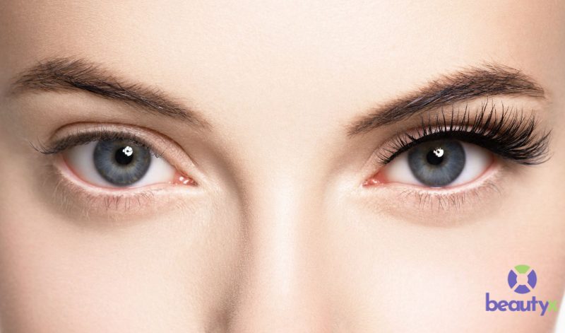 Nối mi volume là gì?