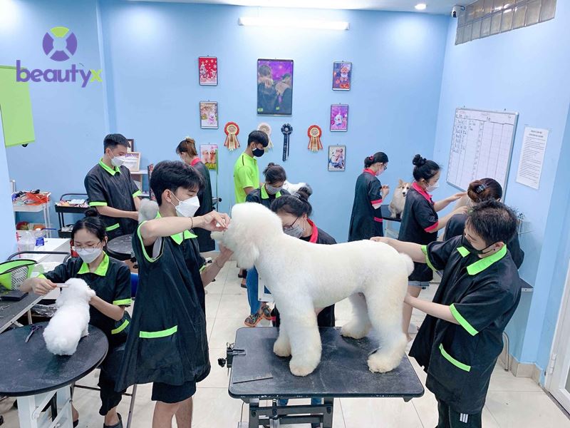CỎ PET HOUSE