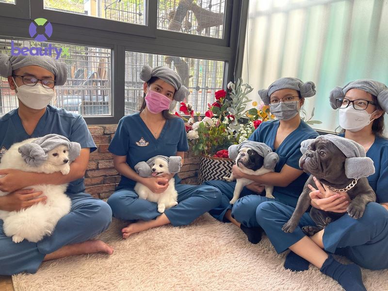 HEAD TO TAIL PET SPA
